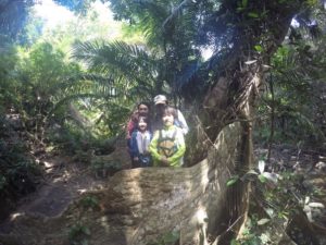西表島の大木サキシマスオウの木の前で家族写真